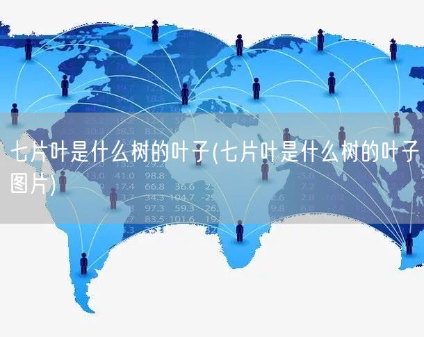 七片叶是什么树的叶子(七片叶是什么树的叶子图片)