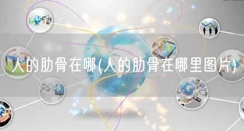 人的肋骨在哪(人的肋骨在哪里图片)