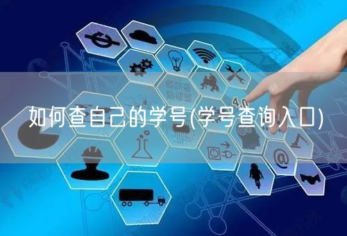 如何查自己的学号(学号查询入口)