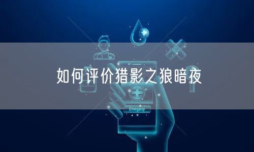 如何评价猎影之狼暗夜