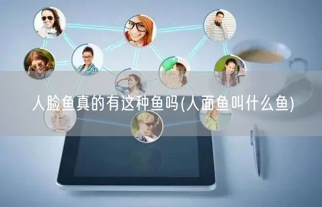 人脸鱼真的有这种鱼吗(人面鱼叫什么鱼)