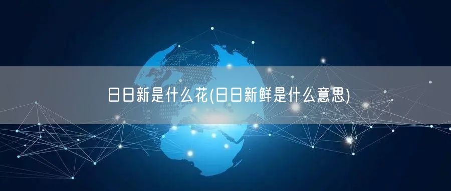 日日新是什么花(日日新鲜是什么意思)