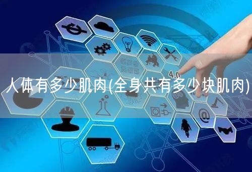 人体有多少肌肉(全身共有多少块肌肉)
