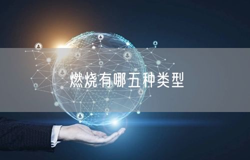 燃烧有哪五种类型