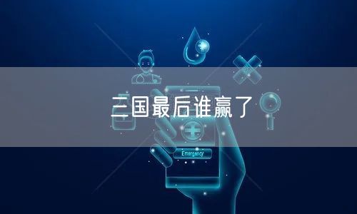 三国最后谁赢了