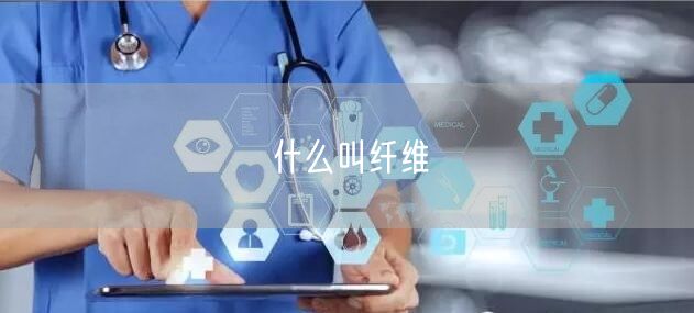 什么叫纤维