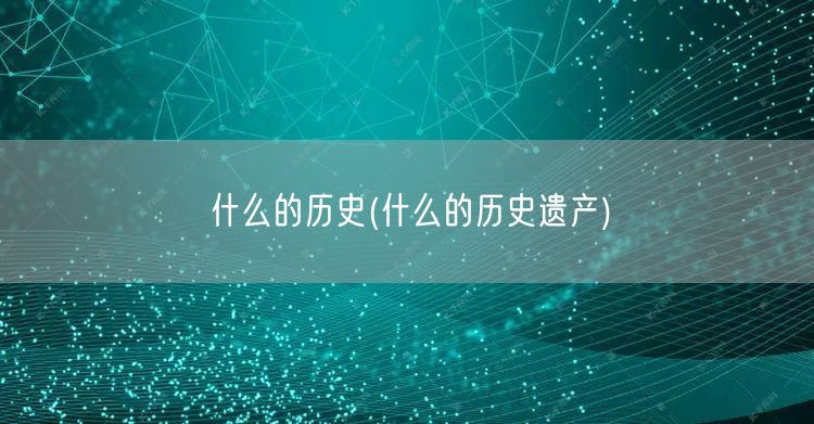 什么的历史(什么的历史遗产)