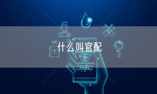 什么叫官配