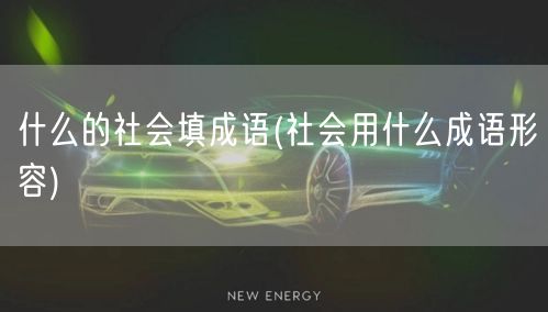 什么的社会填成语(社会用什么成语形容)